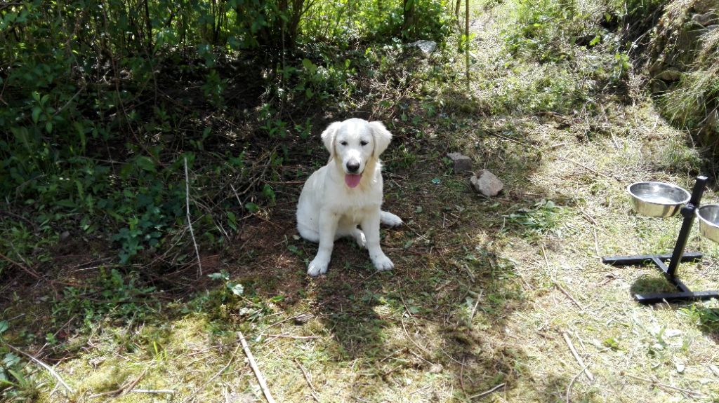 Petite Marla est arrivée en Métropole