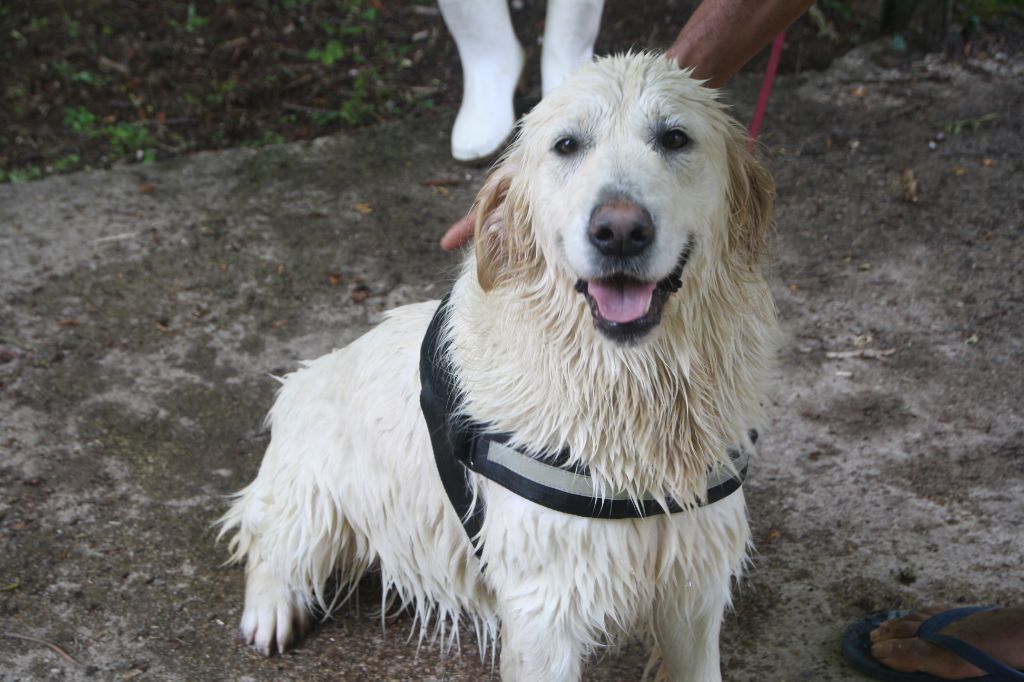 Marla à l'eau !