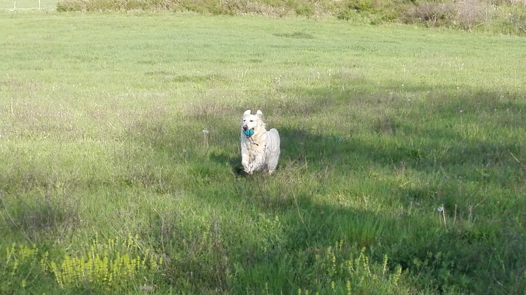 Balades en campagne