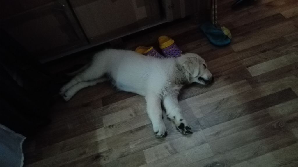 Bébé Marla à la maison de La Réunion
