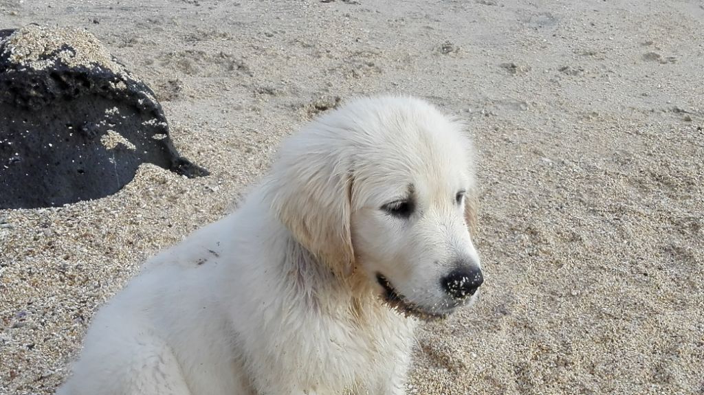 Bébé Marla sur la plage à La Réunion