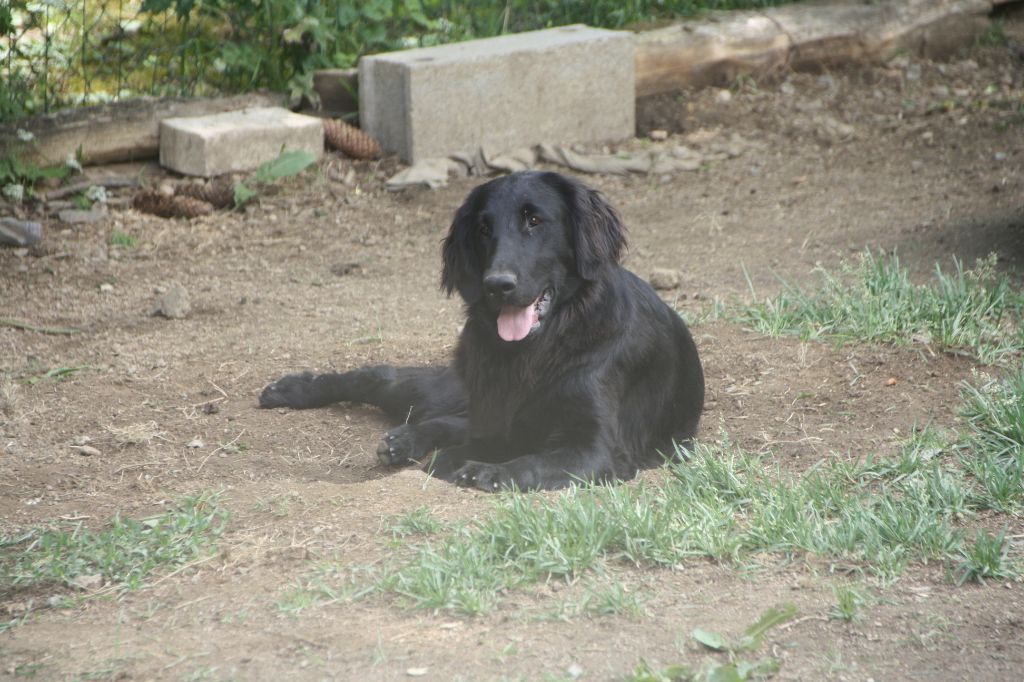 Orna