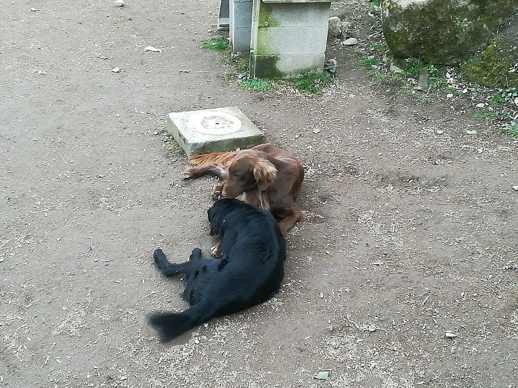 Louve & Orna, mère et fille !